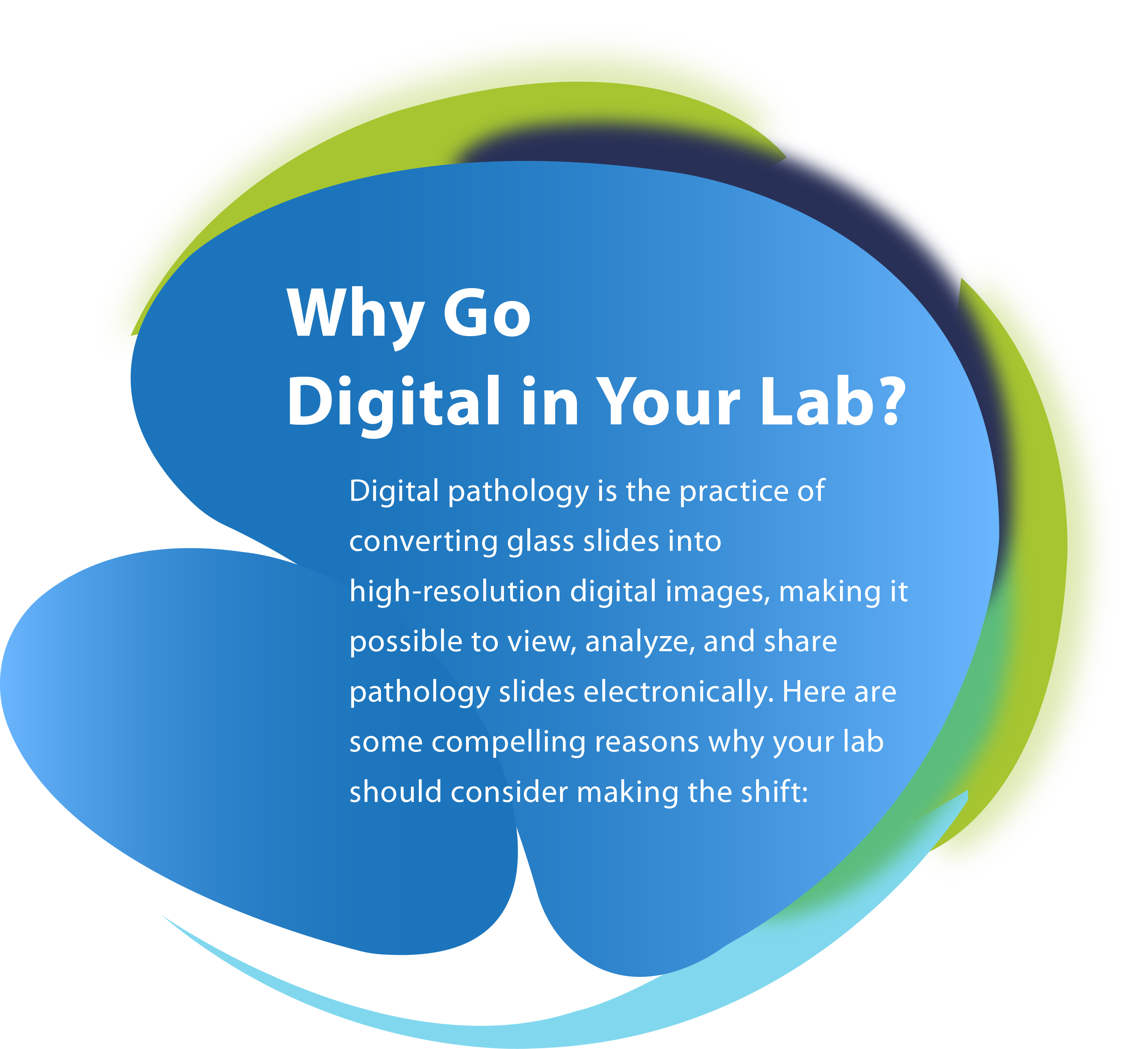 Why Go Digital in Your Lab?
